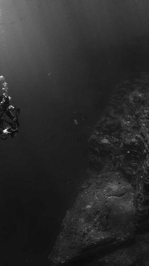 郑州seo优化截图1