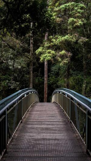 泛目录安全吗截图2