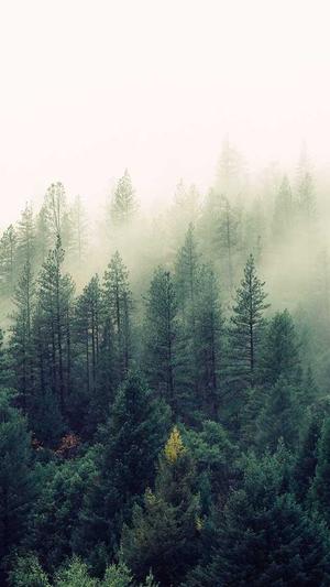 潍坊seo优化截图1