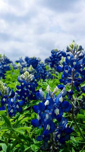 seo优化报价截图3