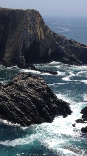 动态蜘蛛池截图1