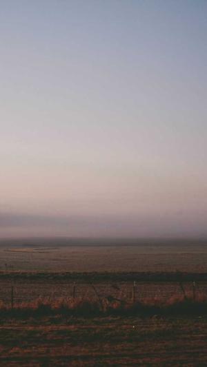 淄博seo网站优化截图3