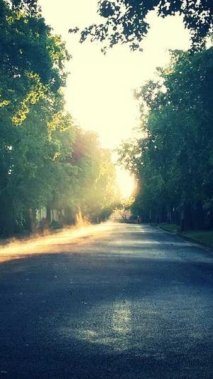 seo网站关键词优化截图3