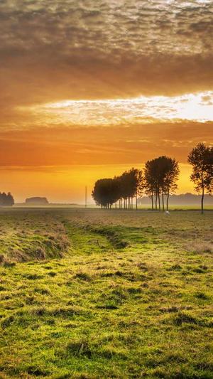 泛目录代发排名截图1