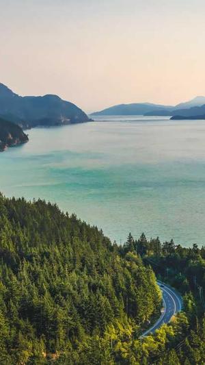 seo优化排名公司截图3