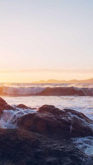 在线免费蜘蛛池截图2