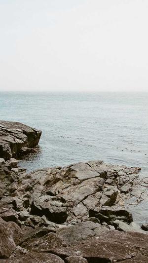 租一天百度蜘蛛池截图4