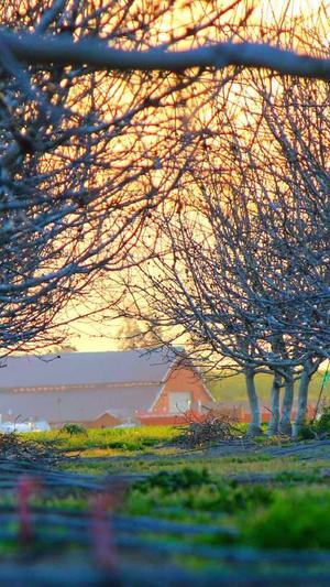 现在的蜘蛛池有用吗截图2