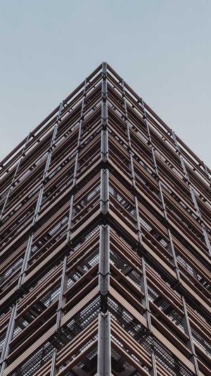 浙江蜘蛛池出租服务截图1