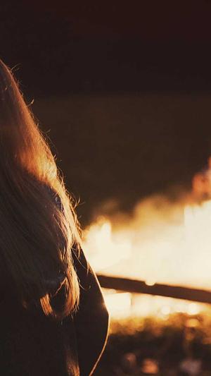 搜狗蜘蛛池有哪些网站截图4