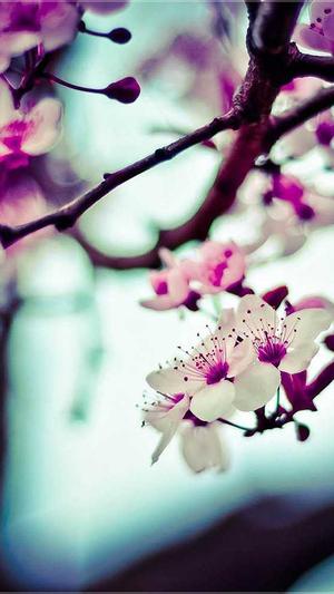 聚合泛目录截图3