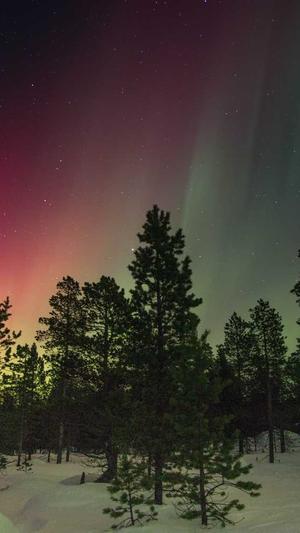 阿里蜘蛛池 破解版截图3