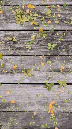 重庆seo好不好截图4