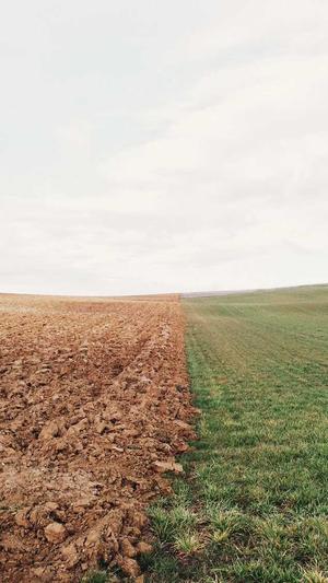 小旋风蜘蛛池程序截图3