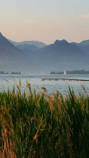 灰词泛目录出租截图3