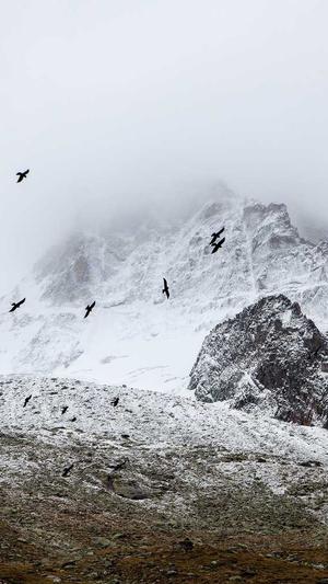 梦幻西游私服发布网截图3