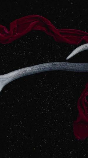 育母蜘蛛预言之池截图3