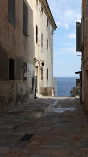 新闻模板蜘蛛池截图1