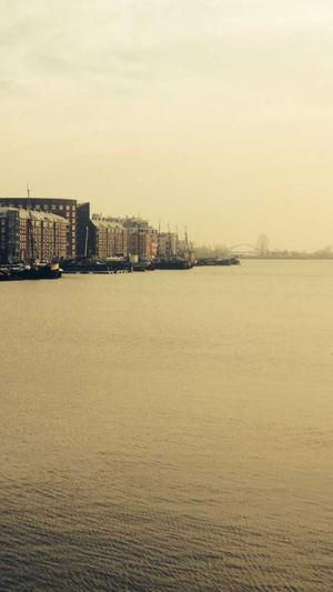 重庆好的seo平台截图2