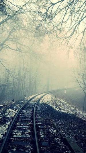 绍兴seo优化截图4