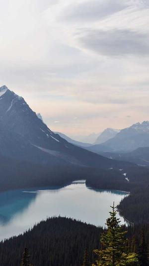 给力蜘蛛池效果怎样截图3