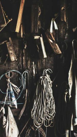 梦幻西游pk私服截图1