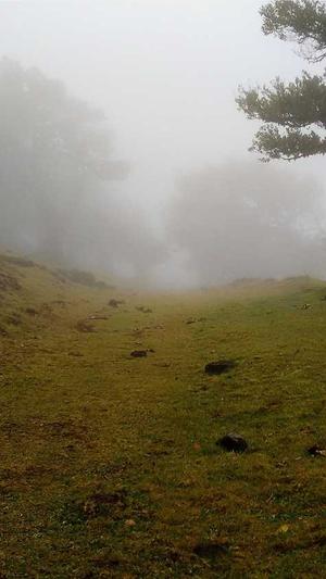 seo原创助手截图1