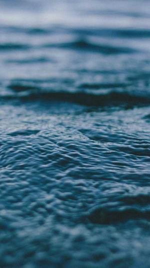 超级蜘蛛池seo截图3