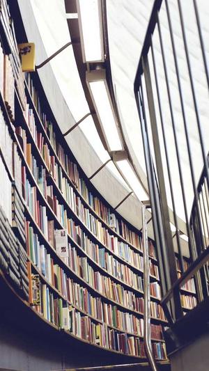 蜘蛛池负作用截图2