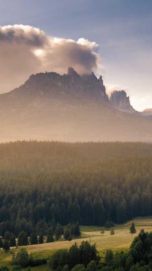 蜘蛛池租用服务找哪家截图2