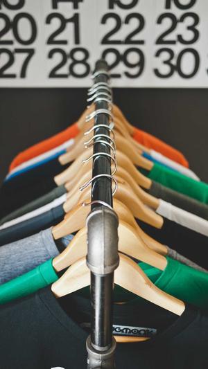 蜘蛛池引蜘蛛怎么处理截图1