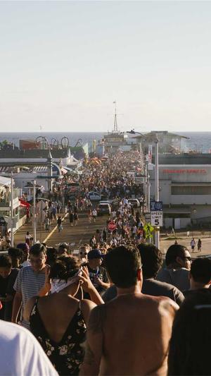 蜘蛛池运营利润如何算截图1