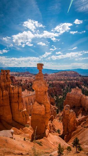 蜘蛛池留痕代发截图1