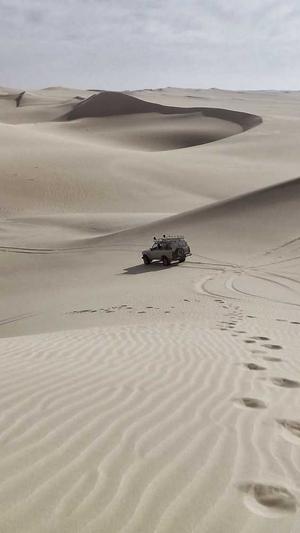 seo优化报价截图2