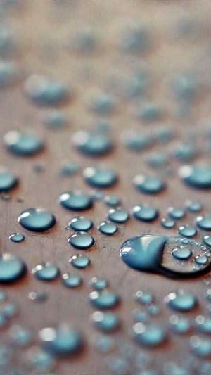 最新蜘蛛池源码破解版截图2