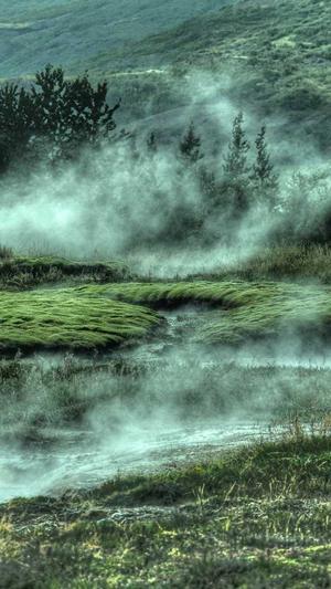 seo优化网页截图3