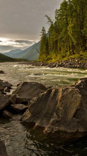 神马蜘蛛池提供商是谁截图2