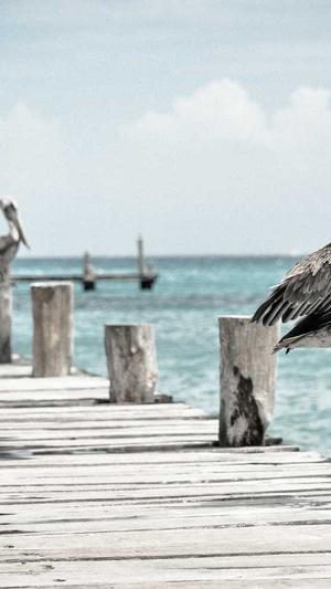 seo宣传推广截图2