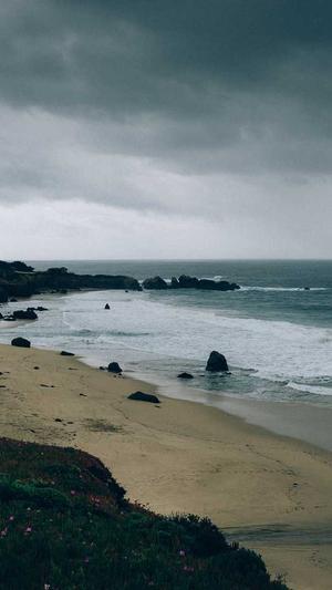 搜狗收录蜘蛛池排名截图5