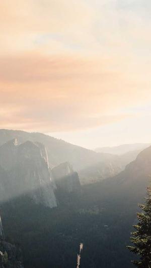 泛目录排名seo教程截图1