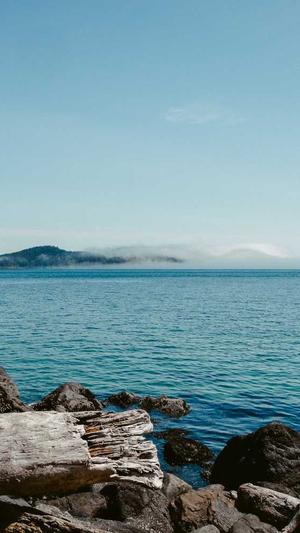 重庆排名seo优化服务截图2