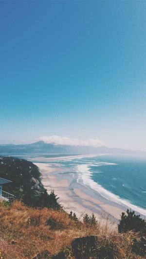 蜘蛛池违法推广怎么办截图1